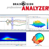 EEG ERP auditory evoked potential Analysis in Analyzer