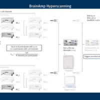 EEG hyperscanning: How to do hyperscanning with BrainAmps